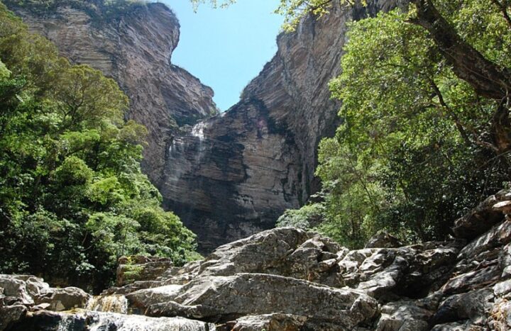 Refúgio de Vida Silvestre Serra da Chapadinha é designado como área de preservação da biodiversidade baiana