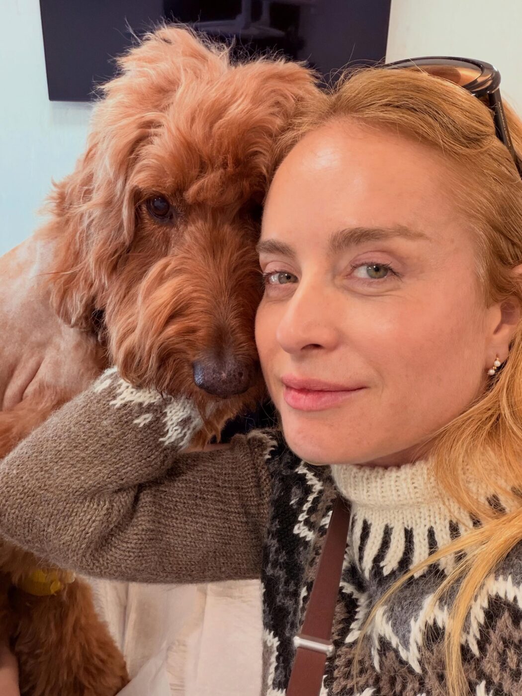 Cachorra de Angélica e Luciano Huck recebe grave diagnóstico e apresentadora desabafa: “Ficamos sem chão”