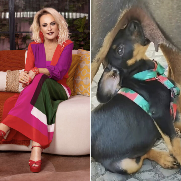 Ana Maria Braga comove com história de cachorrinha que reencontrou a filha após resgate: “Me emocionou”
