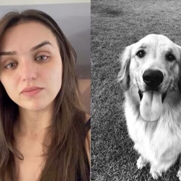 Rafa Kalimann anuncia morte de Alfredo, seu cachorro Golden: ‘Um pedaço da gente’