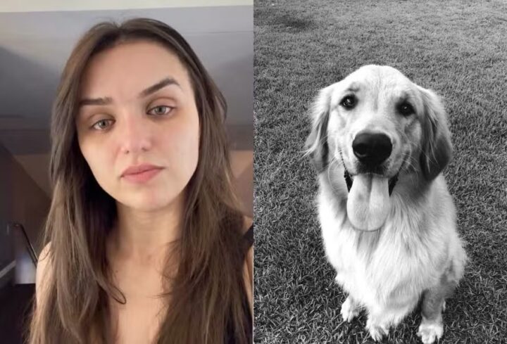 Rafa Kalimann anuncia morte de Alfredo, seu cachorro Golden: ‘Um pedaço da gente’