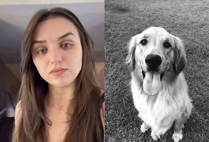 Rafa Kalimann anuncia morte de Alfredo, seu cachorro Golden: ‘Um pedaço da gente’