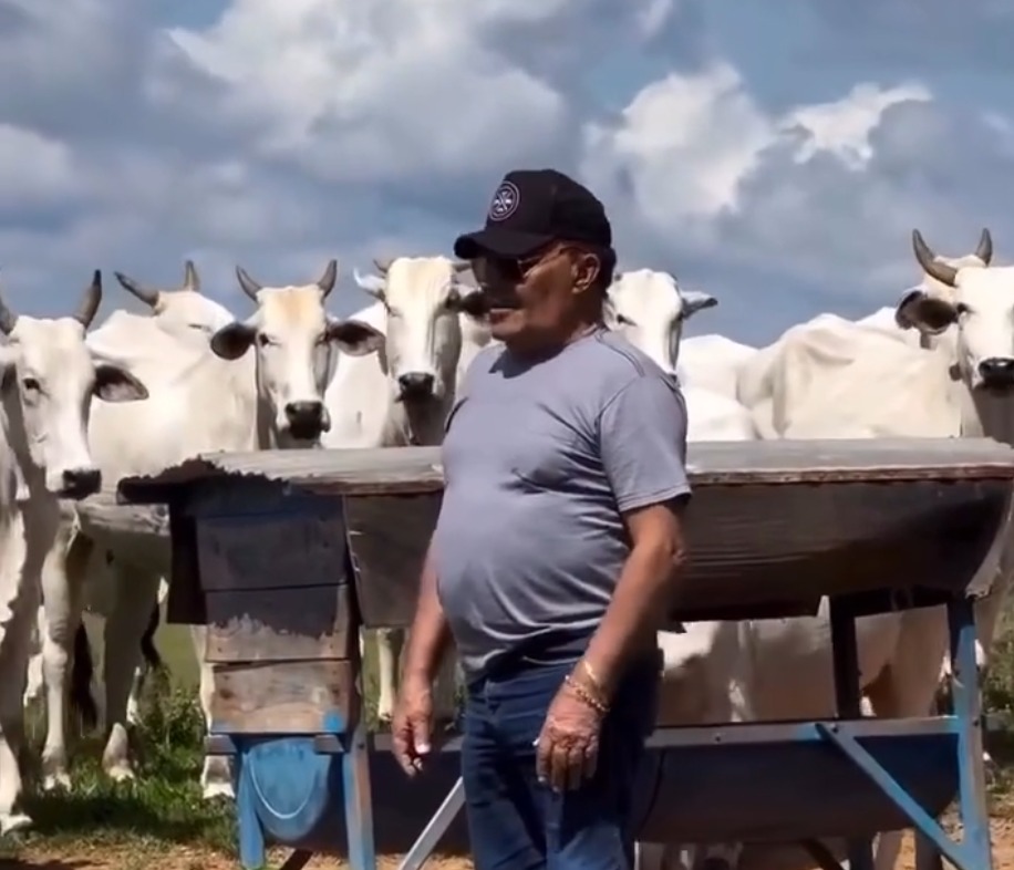 Aos 80 anos, sertanejo que saiu da lavoura hoje tem sua própria fazenda de gado como refúgio