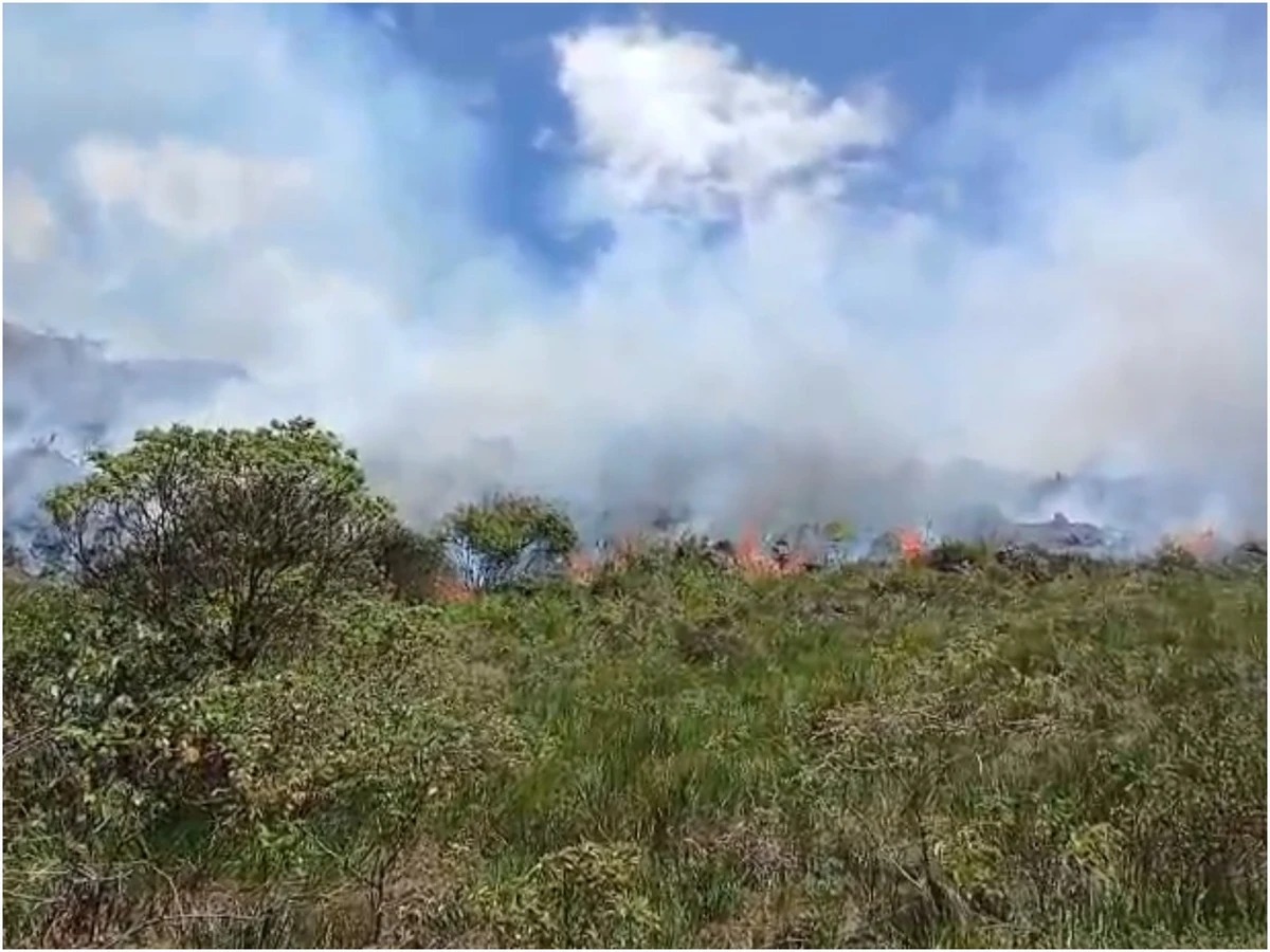 ‘Passou a noite pegando fogo’: incêndio atinge área de 50 km² de serra entre Caém e Jacobina