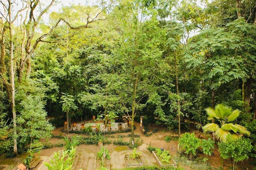 Salvador recebe reconhecimento internacional por revitalização do Jardim Botânico