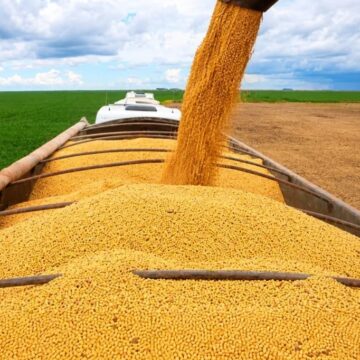 Agropecuária baiana cresce 5,7% no segundo trimestre de 2026