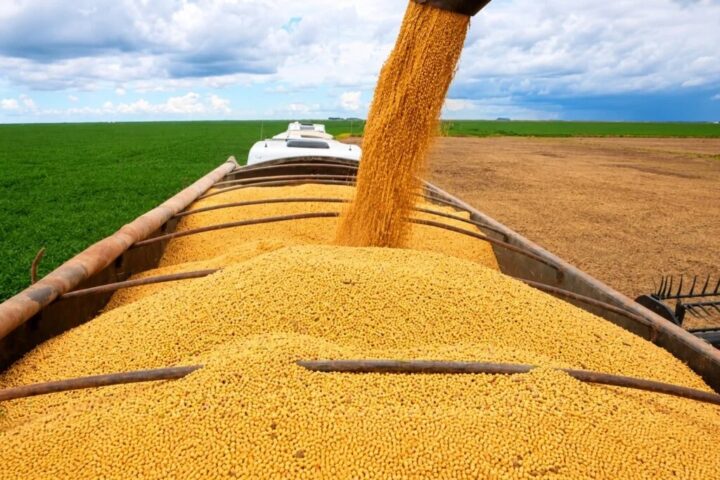 Agropecuária baiana cresce 5,7% no segundo trimestre de 2026