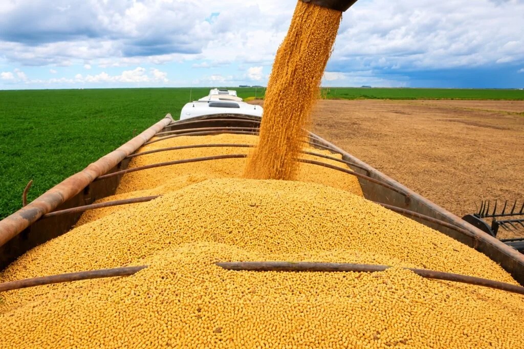 Agropecuária baiana cresce 5,7% no segundo trimestre de 2026