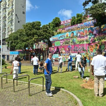 Barroquinha e Baixa dos Sapateiros recebem novas árvores e ações de revitalização em Salvador
