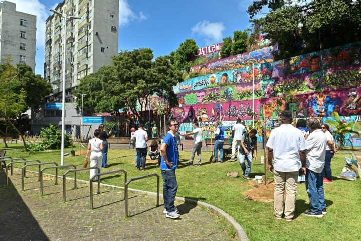 Barroquinha e Baixa dos Sapateiros recebem novas árvores e ações de revitalização em Salvador