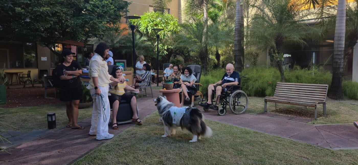 Conheça o hospital em Salvador que prescreve horta, música e jogos para os pacientes