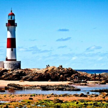 Vai à praia neste fim de semana? Veja quais pontos estão próprios para banho em Salvador