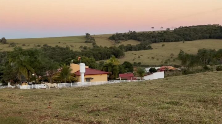 Aos 36 anos, sertanejo transformou refúgio familiar em negócio milionário com criação de gado