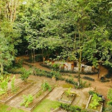 Oásis verde em Salvador: por que vale a pena visitar o Jardim Botânico