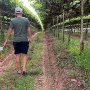 Aos 24 anos, cantor transforma fazenda refúgio em negócio de R$ 2 milhões