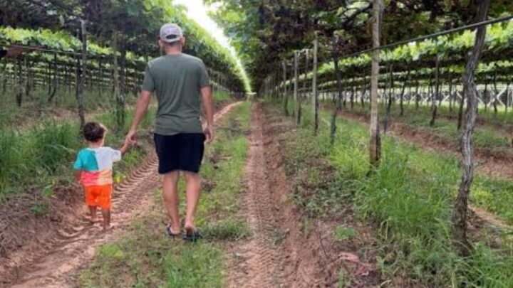 Aos 24 anos, cantor transforma fazenda refúgio em negócio de R$ 2 milhões