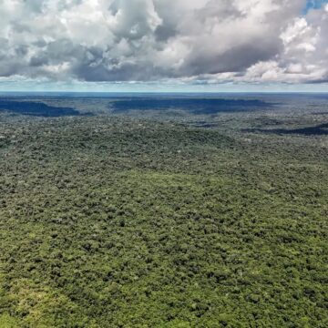 Devastação na Amazônia pode quebrar maior “máquina de chuva” do mundo