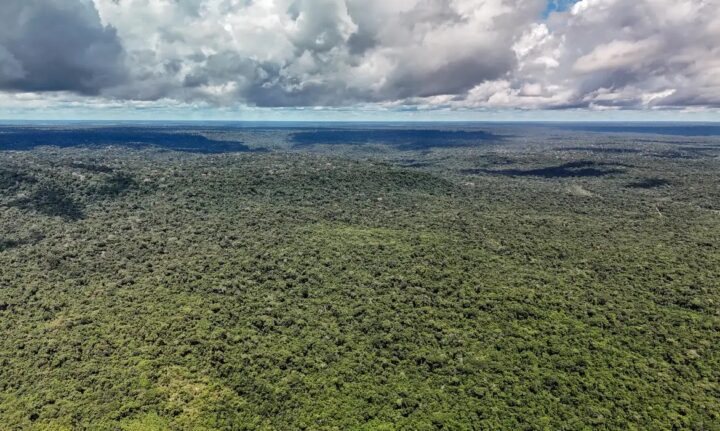 Devastação na Amazônia pode quebrar maior “máquina de chuva” do mundo