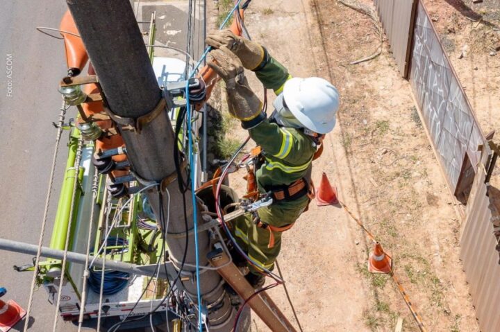 Neoenergia Coelba realiza Operação Gatonet em 25 cidades da Bahia nesta semana