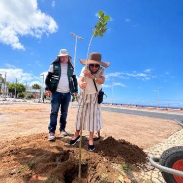 Orla de Ondina ganha 22 novas árvores após pedido de moradores