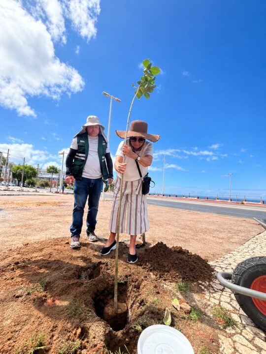 Orla de Ondina ganha 22 novas árvores após pedido de moradores