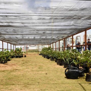 Salvador ganha segundo viveiro de restinga com mais de 500 mudas no Jardim de Alah