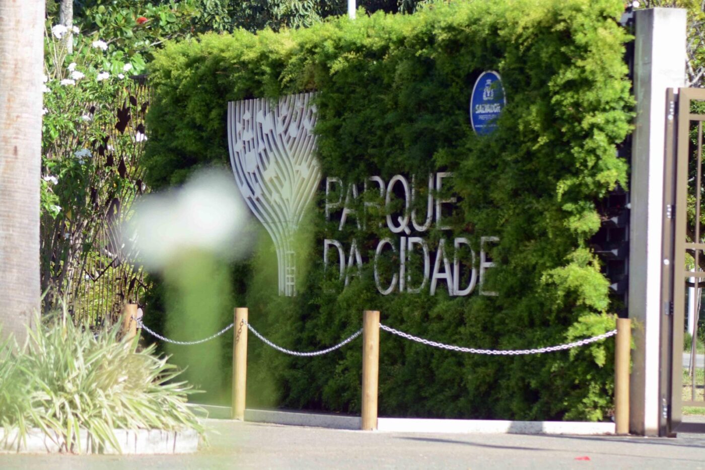 Parque da Cidade recebe Feira de Sustentabilidade e Agroecologia em celebração à Primavera neste sábado