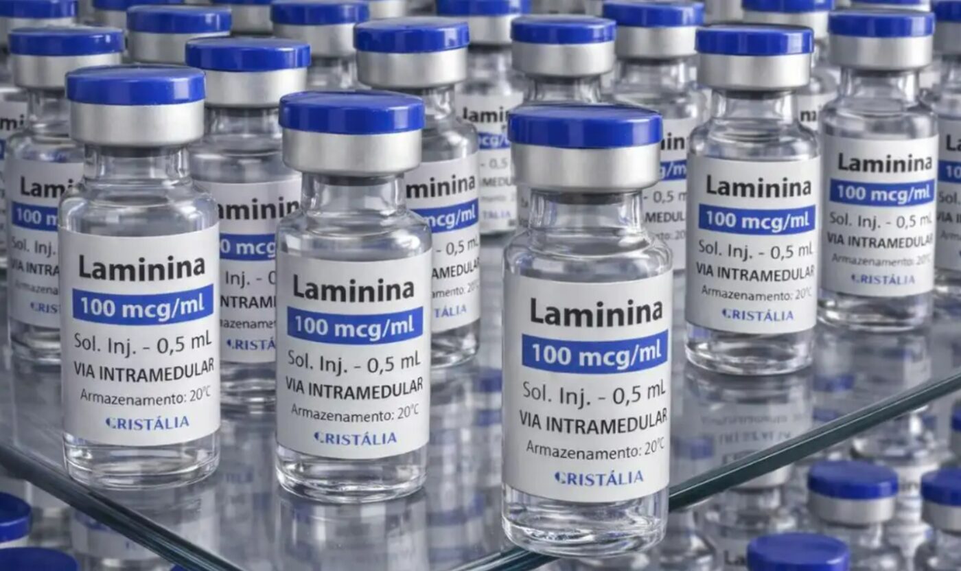 Testes clínicos da polilaminina começam ainda neste mês no Brasil