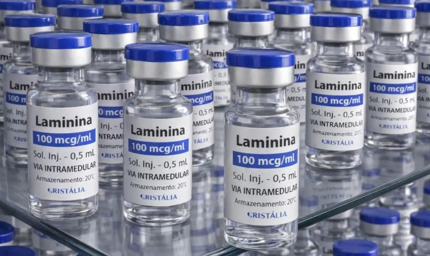 Farmacêutica, em parceria com pesquisadores da UFRJ, iniciam este mês testes clínicos da polilaminina