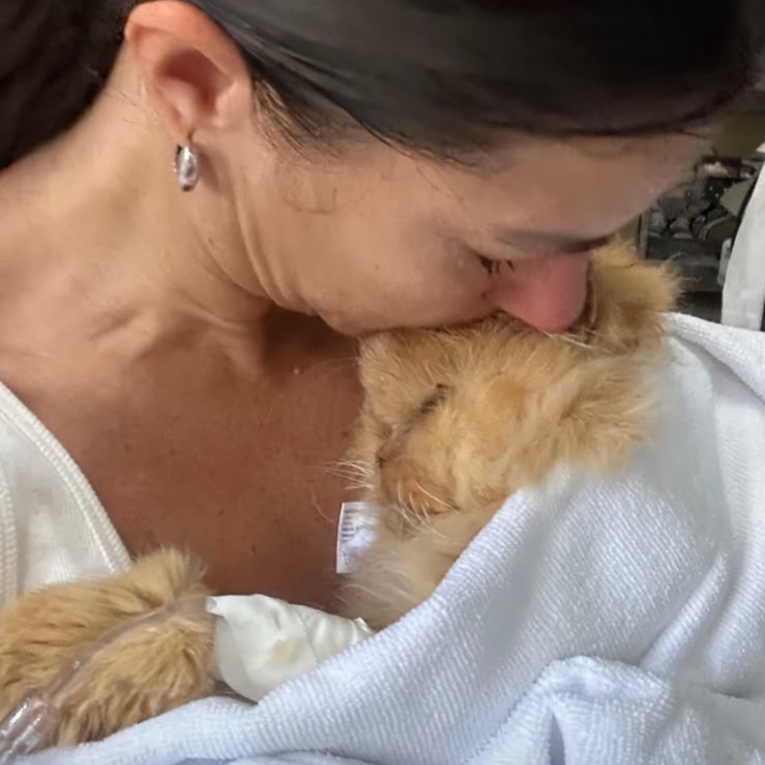 Após pedir orações, Jessica Senra anuncia morte do gato: ‘Partiu em meus braços’