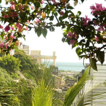 Adeus, agosto: saiba quando começa a primavera em 2026