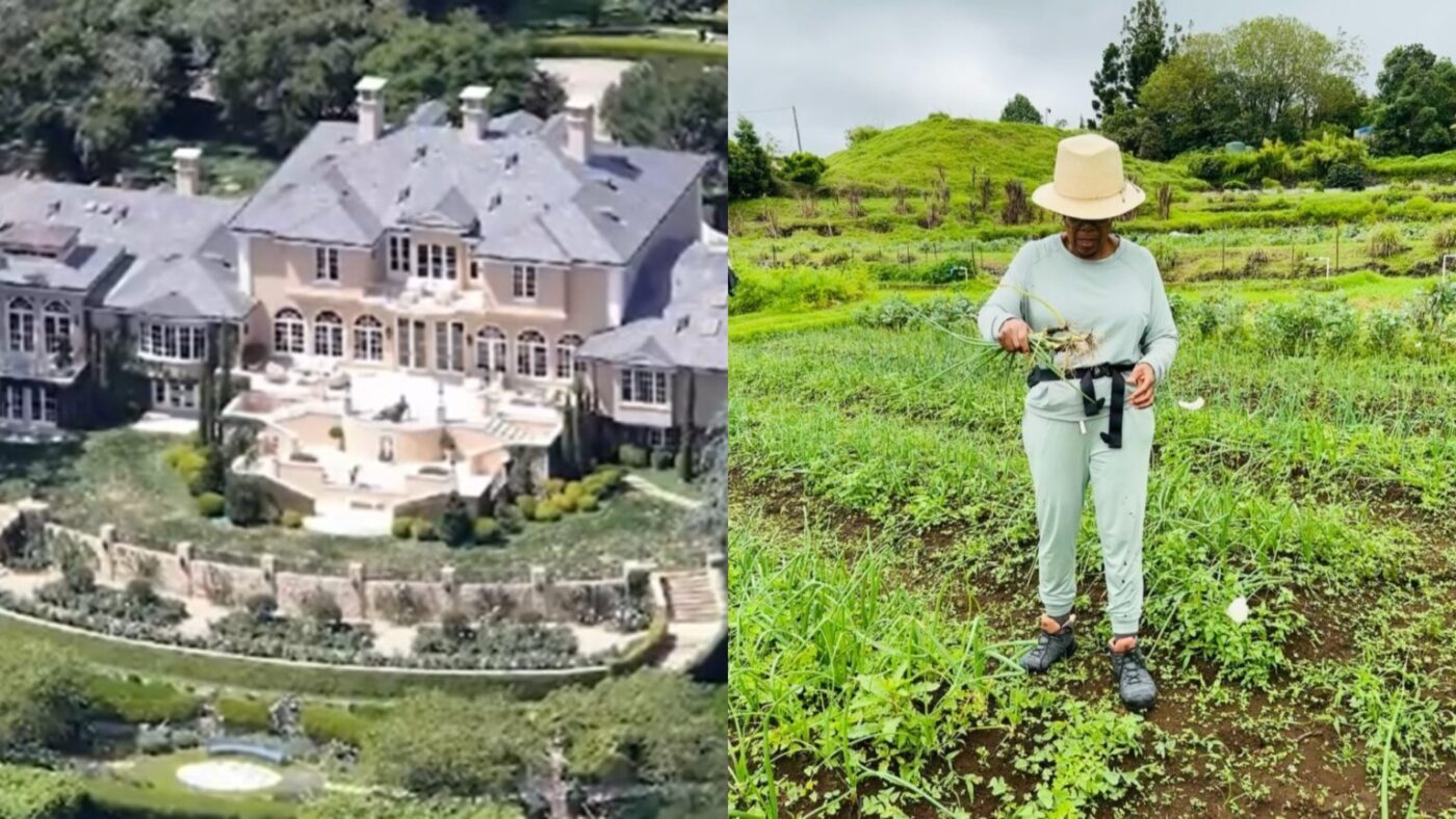 Aos 72 anos, apresentadora planta alimentos orgânicos em fazenda de 24 hectares que é refúgio familiar