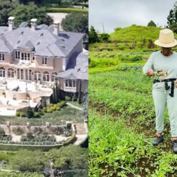 Aos 72 anos, apresentadora planta alimentos orgânicos em fazenda de 24 hectares que é refúgio familiar