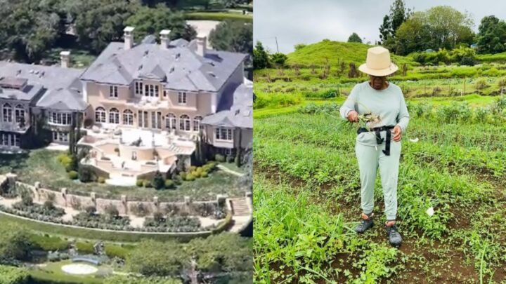Aos 72 anos, apresentadora planta alimentos orgânicos em fazenda de 24 hectares que é refúgio familiar
