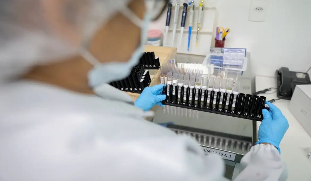Anvisa libera testes em humanos de vacina brasileira contra a malária