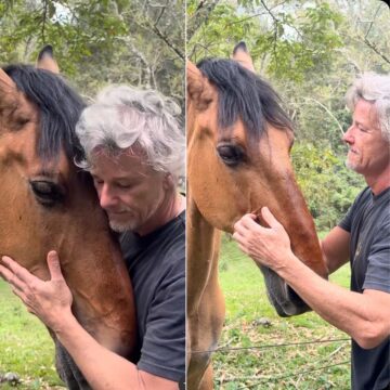 Marcello Novaes faz carinho em cavalo em seu sítio, e a ex Leticia Spiller reage: ‘Eu amo’