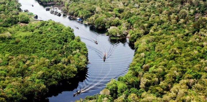 Desmatamento na Amazônia atinge o menor nível na série histórica, segundo Inpe