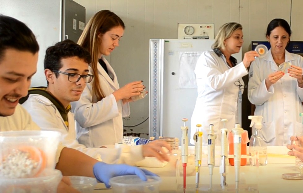 Brasil tem 1.510 cientistas entre os mais influentes do mundo em ranking de publicação americana