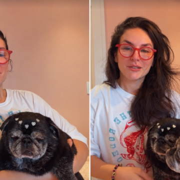 Kéfera se emociona ao pensar na morte das pets já idosas: ‘Desesperada’
