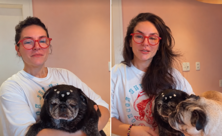 Kéfera se emociona ao pensar na morte das pets já idosas: ‘Desesperada’