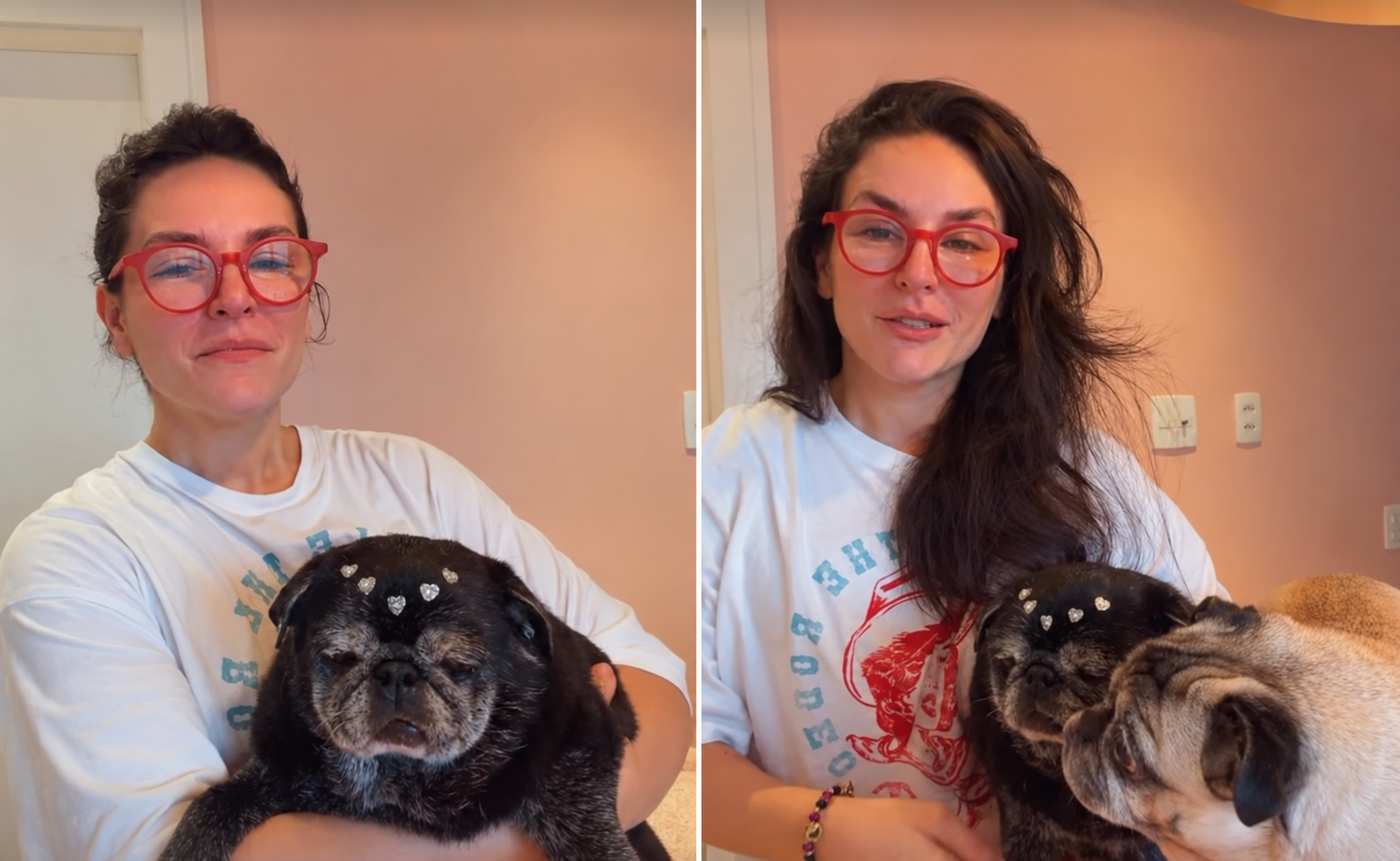 Kéfera se emociona ao pensar na morte das pets já idosas: ‘Desesperada’