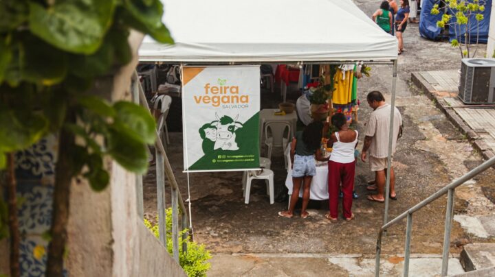 Feira Vegana Salvador celebra 9 anos com programação gratuita no MAB; confira
