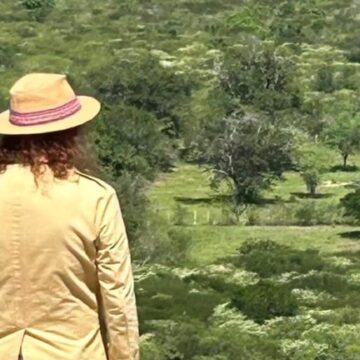 Aos 80 anos, cantor constrói refúgio para a família no meio da natureza e com banheiro a céu aberto