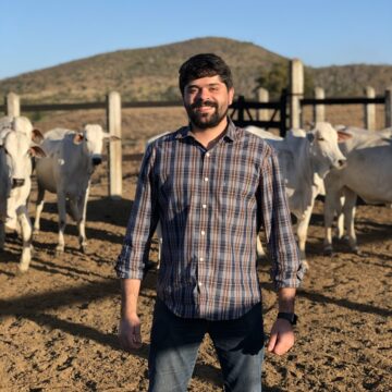Startup baiana cria “Tabela Fipe” da pecuária para definir preços de touros e vacas