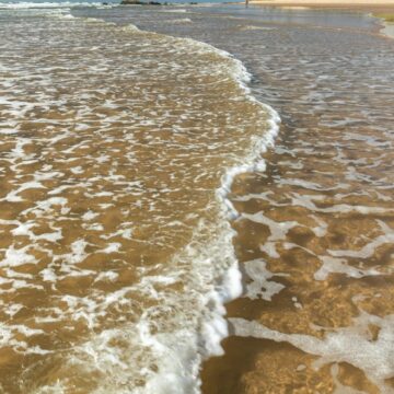 Praia em Mata de São João, no Litoral Norte da Bahia, recebe selo Bandeira Azul pela primeira vez