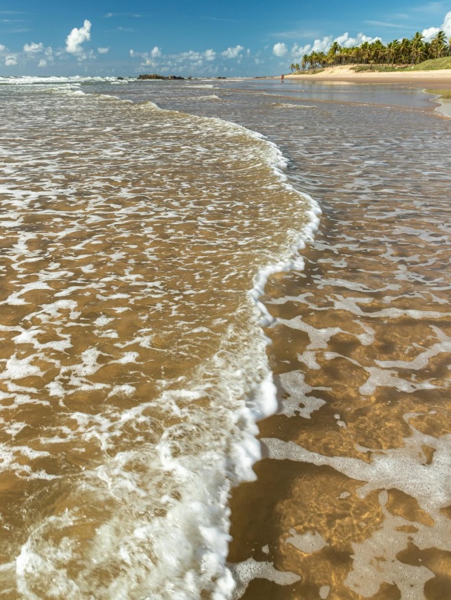 Praia em Mata de São João, no Litoral Norte da Bahia, recebe selo Bandeira Azul pela primeira vez
