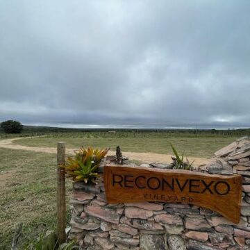 Vinícola na Chapada Diamantina promove PorcoDay com gastronomia, vinhos e rock