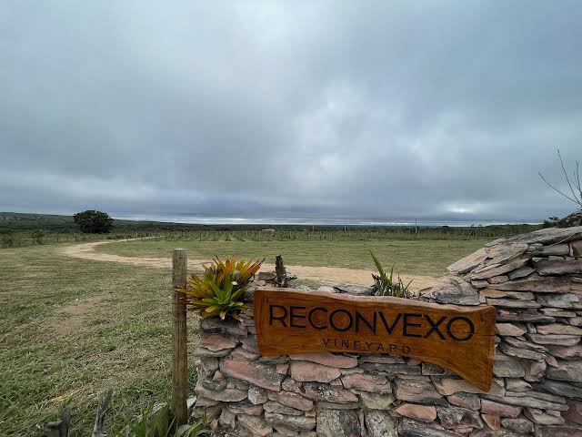 Vinícola na Chapada Diamantina promove PorcoDay com gastronomia, vinhos e rock