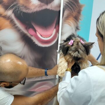 Outubro Rosa Pet: Faculdade de Salvador promove mutirão gratuito de neste sábado (10)