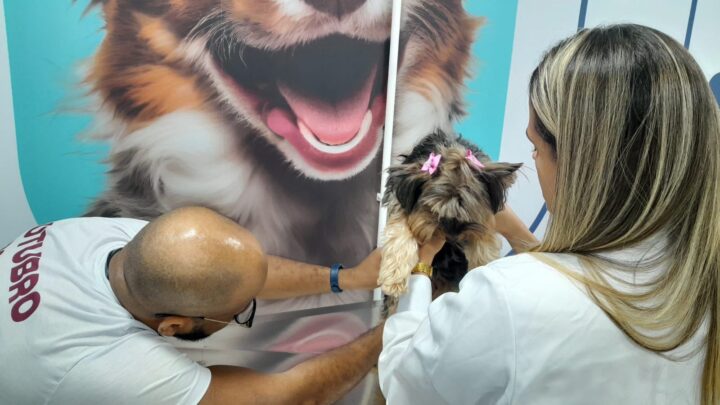 Outubro Rosa Pet: Faculdade de Salvador promove mutirão gratuito de neste sábado (10)